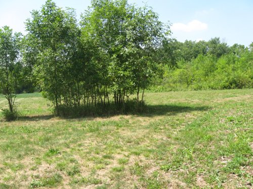 Property photo 13 - 27 Acres offered in 2 Tracts or Combination, Former U.A.W. Hall